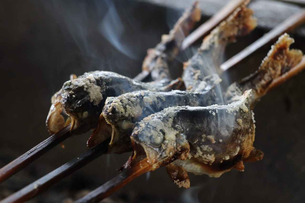 Güvenlik Ekipmanları
