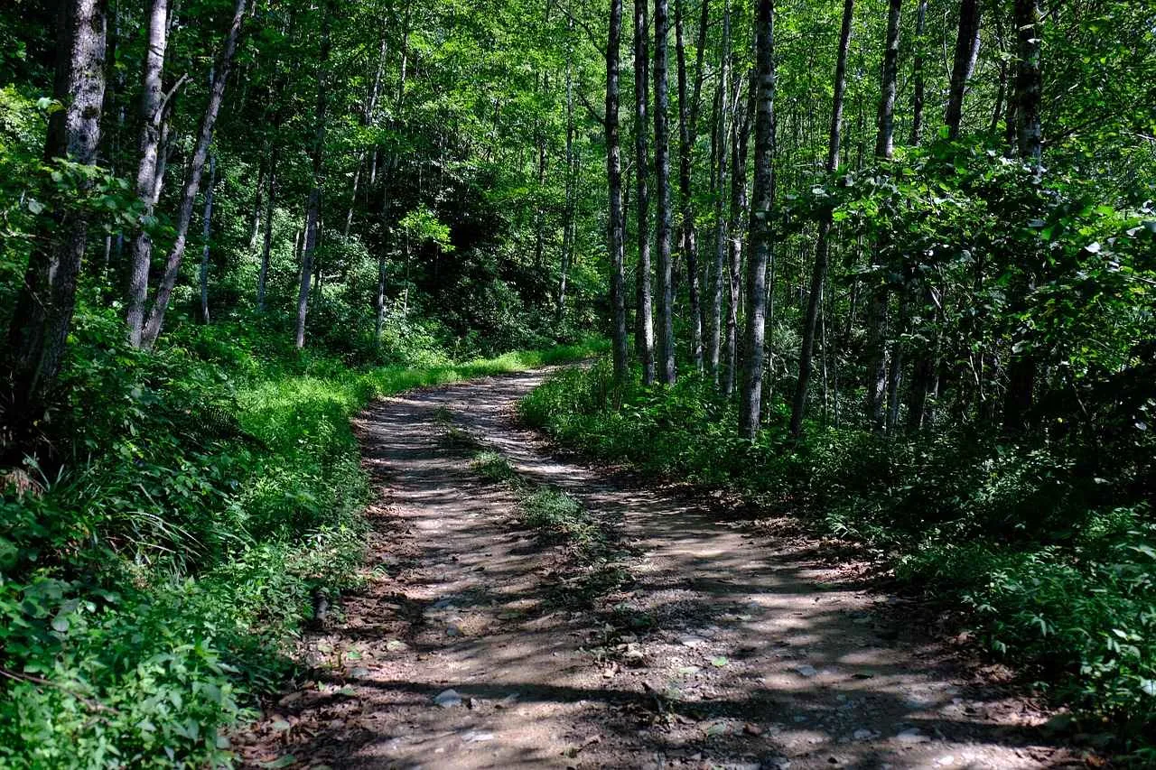 Kamp Malzemeleriyle Doğa Yürüyüşü İçin Hazırlık Kamp Malzemeleriyle Doğa Yürüyüşü İçin Hazırlık