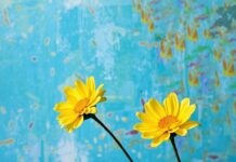 Renklerin Gücü: Sanatta ve Yaşamımızda Kullanımı The Power of Colors: Usage in Art and Our Lives