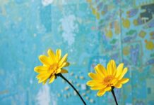 Renklerin Gücü: Sanatta ve Yaşamımızda Kullanımı The Power of Colors: Usage in Art and Our Lives