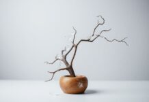 Sanatın Dünyasında Kreatif Dönüşümler Creative Transformations in the World of Art