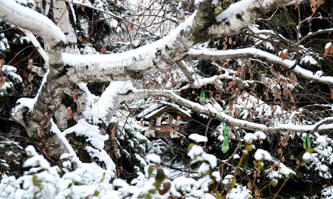 Oyunlar ve Eğlenceli Aktiviteler