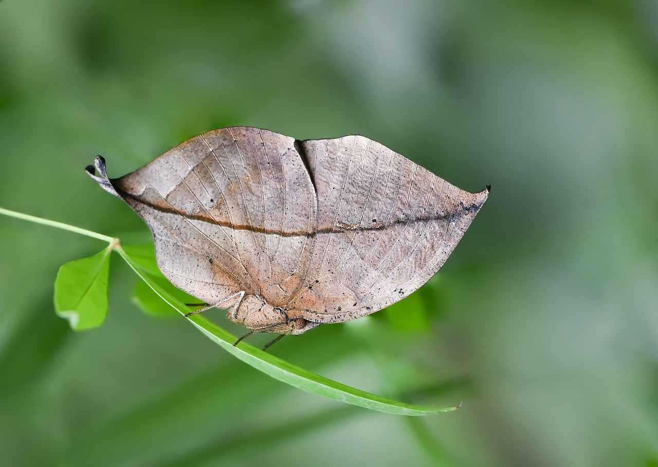 Doğada Geceleme Neden Tercih Edilmeli?