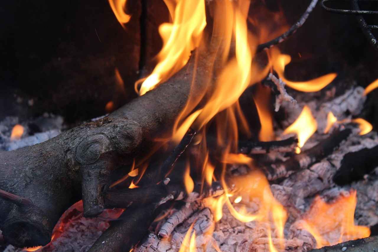 Farklı Kamp Çadırı Türleri