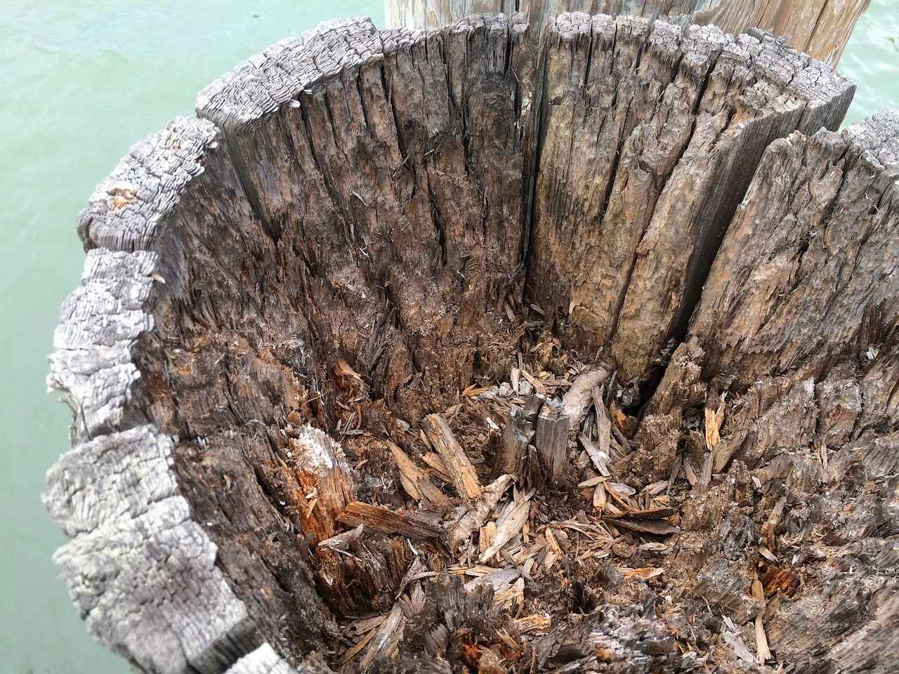 Kamp Çadırı Malzemeleri