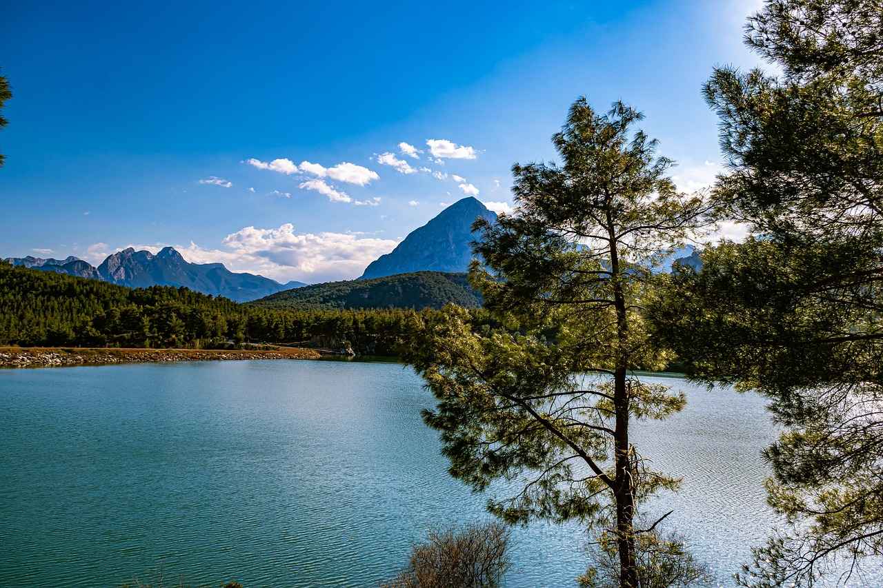 Kurulum Kılavuzları ve Videolar