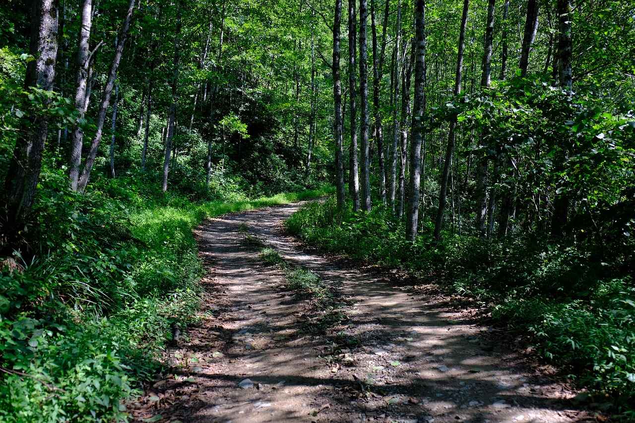 Yürüyüş Öncesi Hazırlıklar